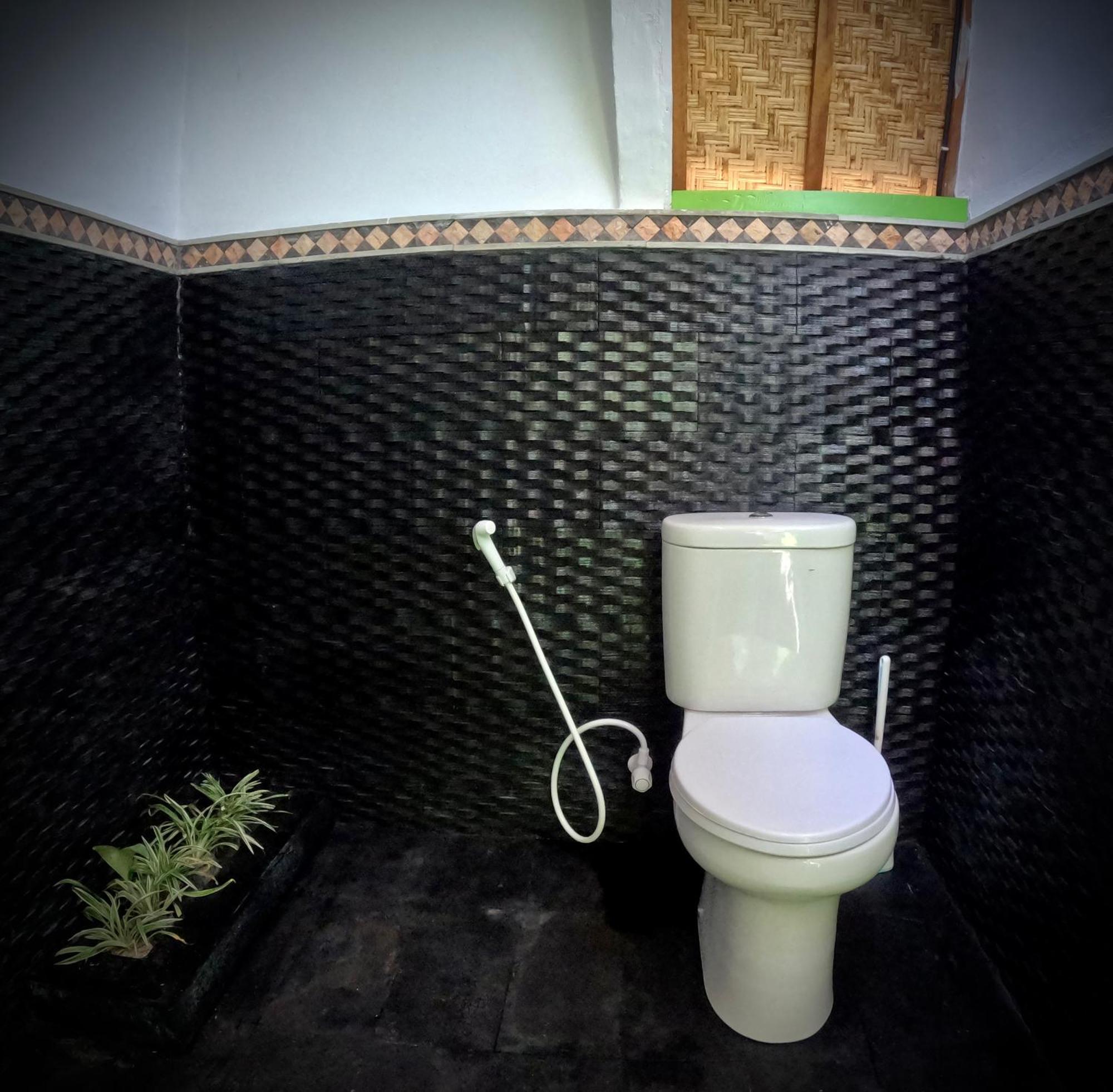 Kaktus Bungalow 1 Гили Еър Екстериор снимка